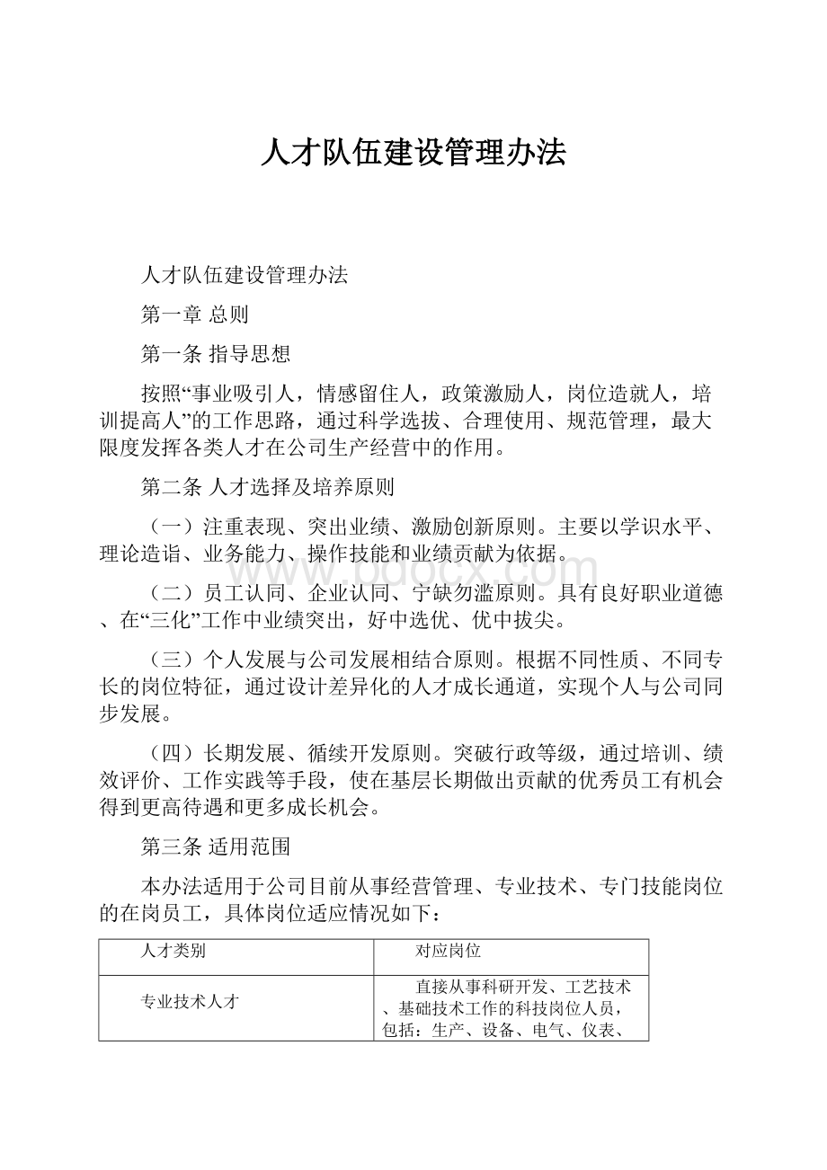 人才队伍建设管理办法.docx