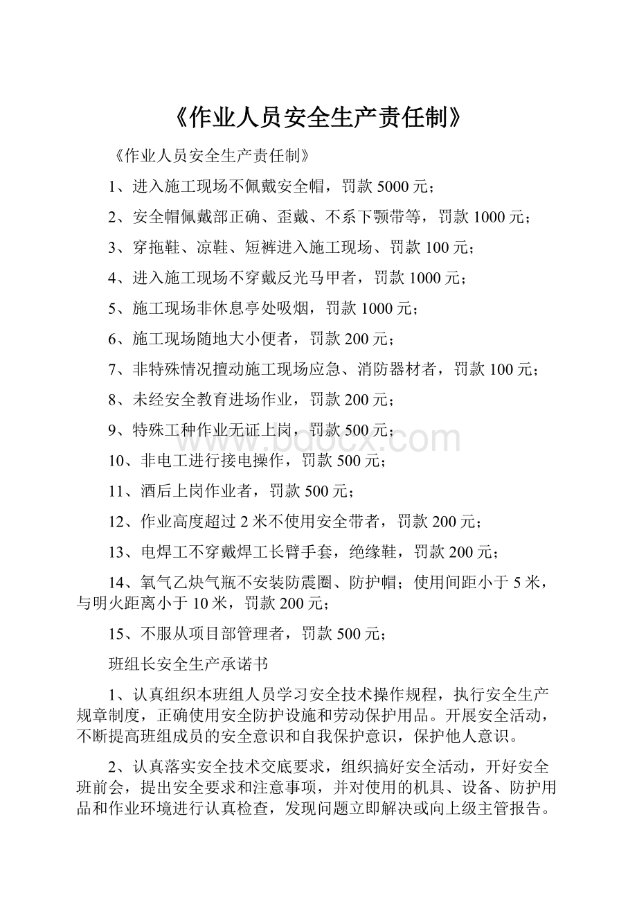 《作业人员安全生产责任制》.docx_第1页