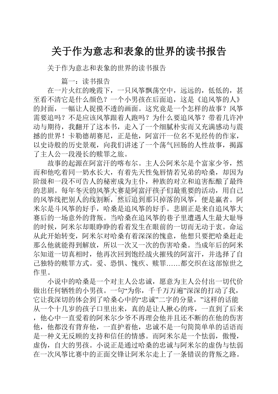 关于作为意志和表象的世界的读书报告.docx