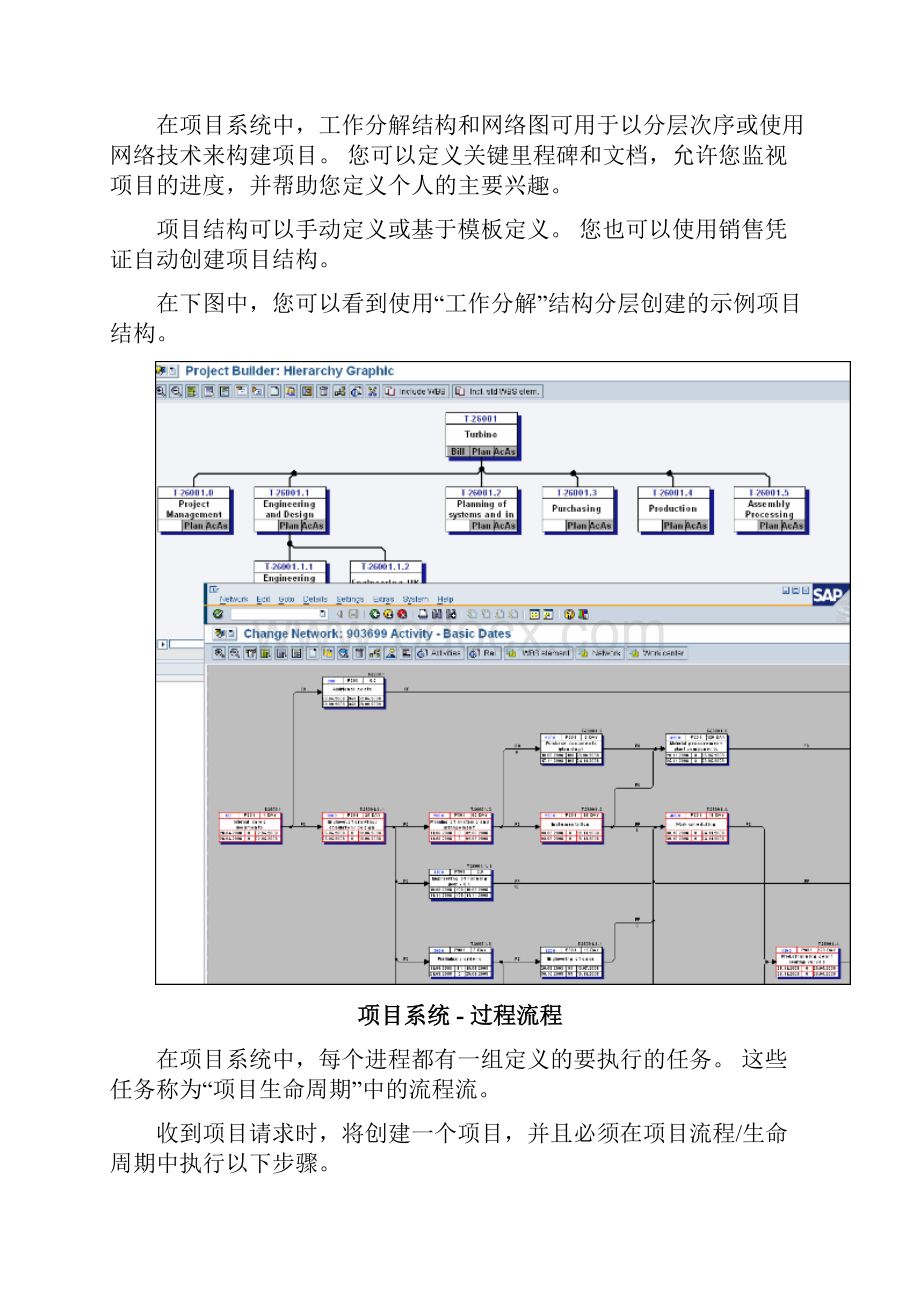 SAPPS快速指南.docx_第2页