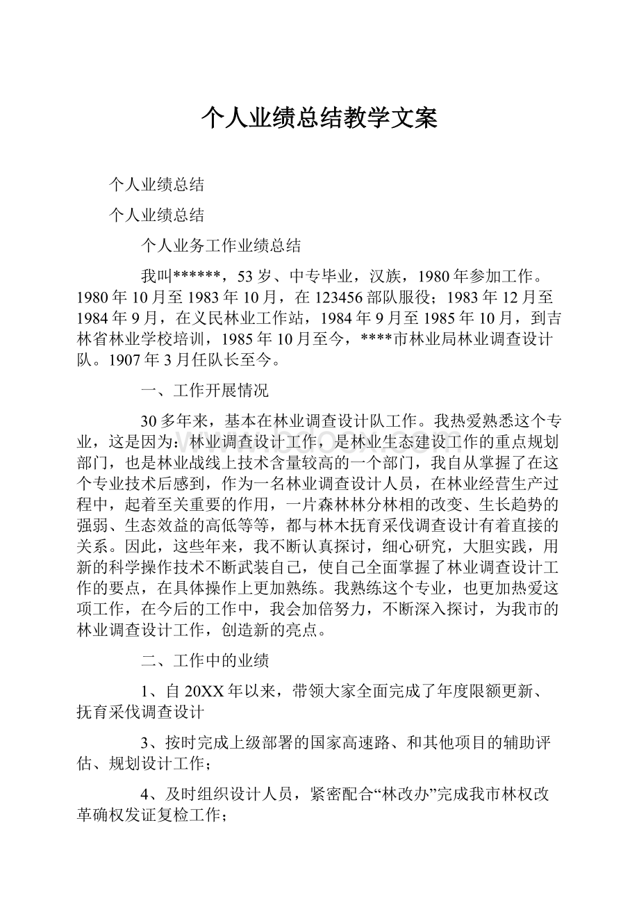 个人业绩总结教学文案.docx