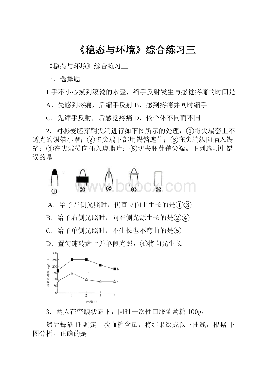 《稳态与环境》综合练习三.docx_第1页