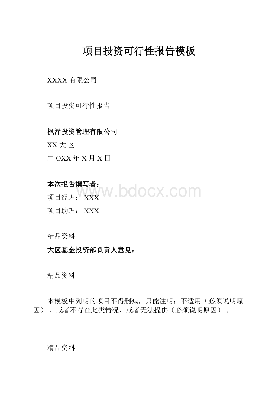 项目投资可行性报告模板Word格式.docx