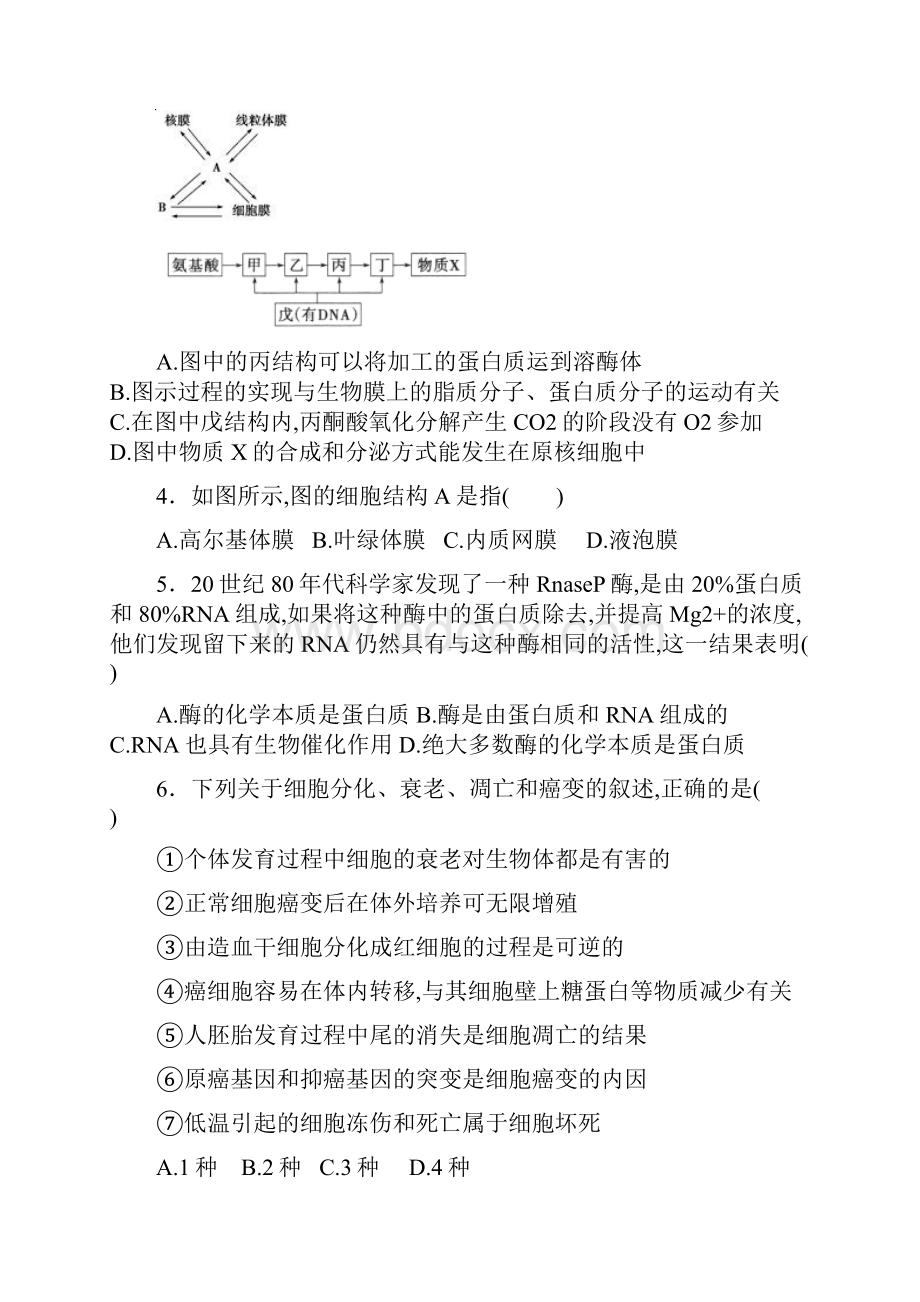 届黑龙江省哈尔滨市第六中学高三上学期期中考试生物试题.docx_第2页