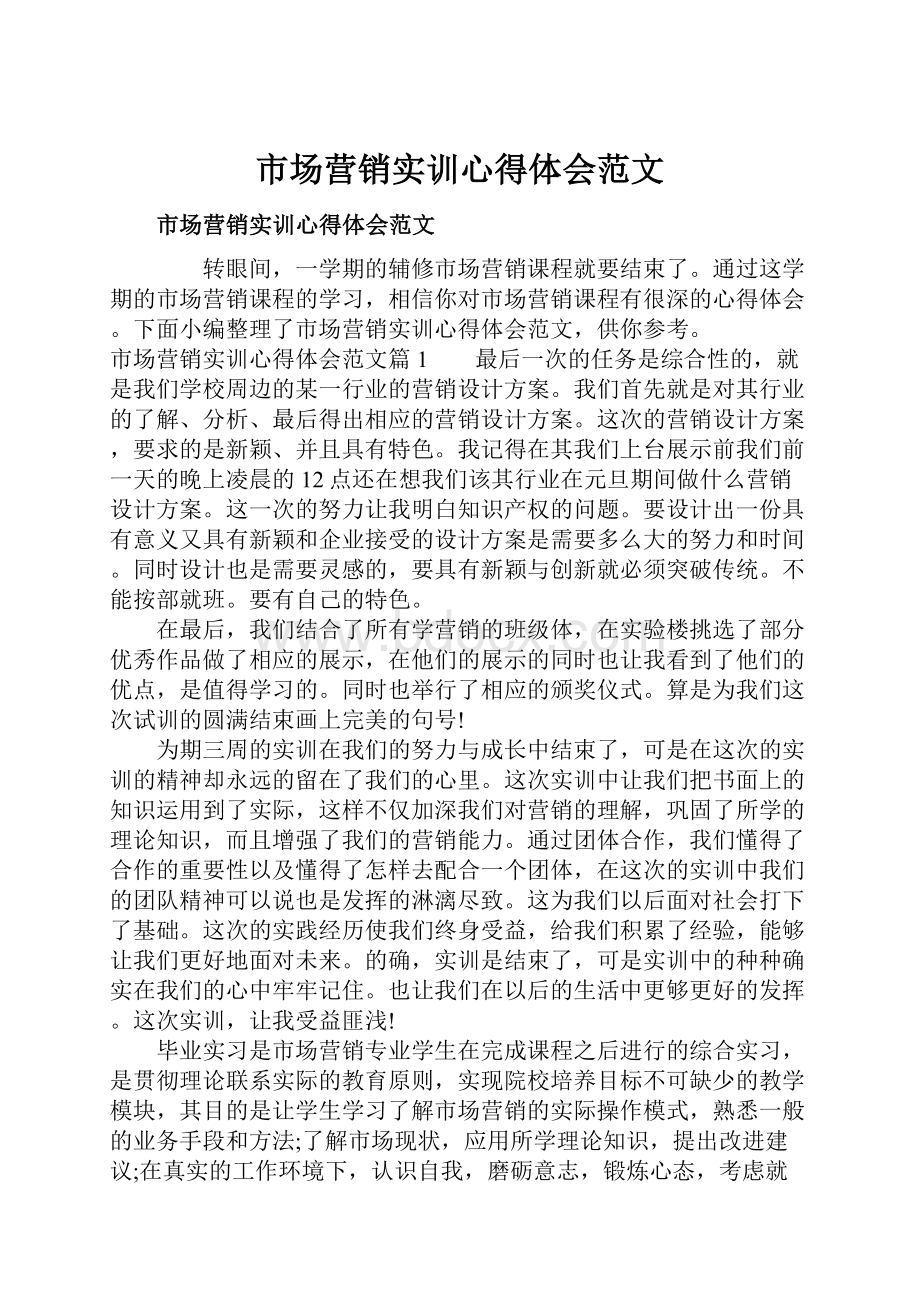 市场营销实训心得体会范文文档格式.docx_第1页