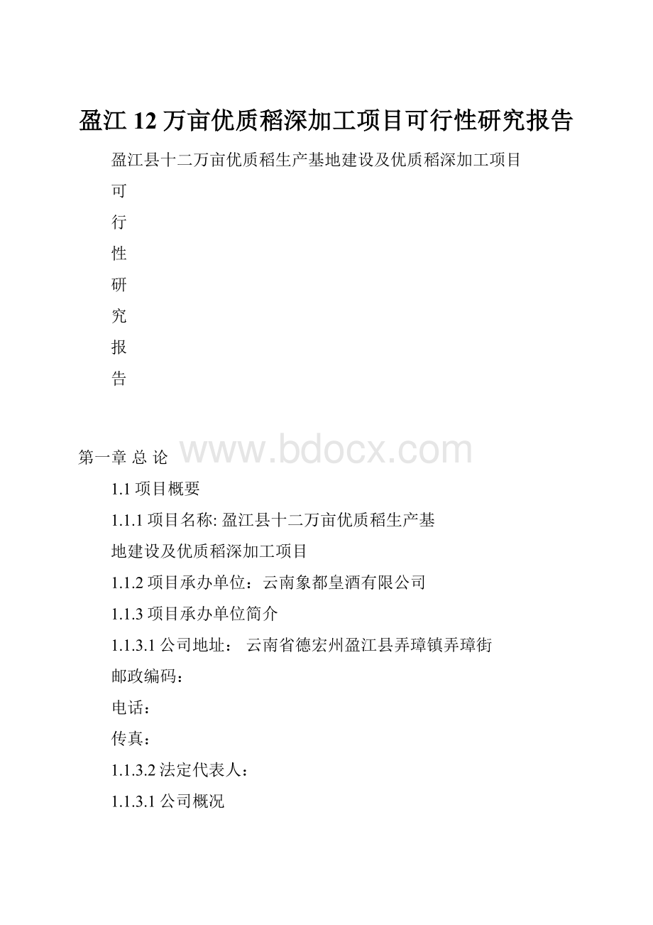 盈江12万亩优质稻深加工项目可行性研究报告Word文档格式.docx