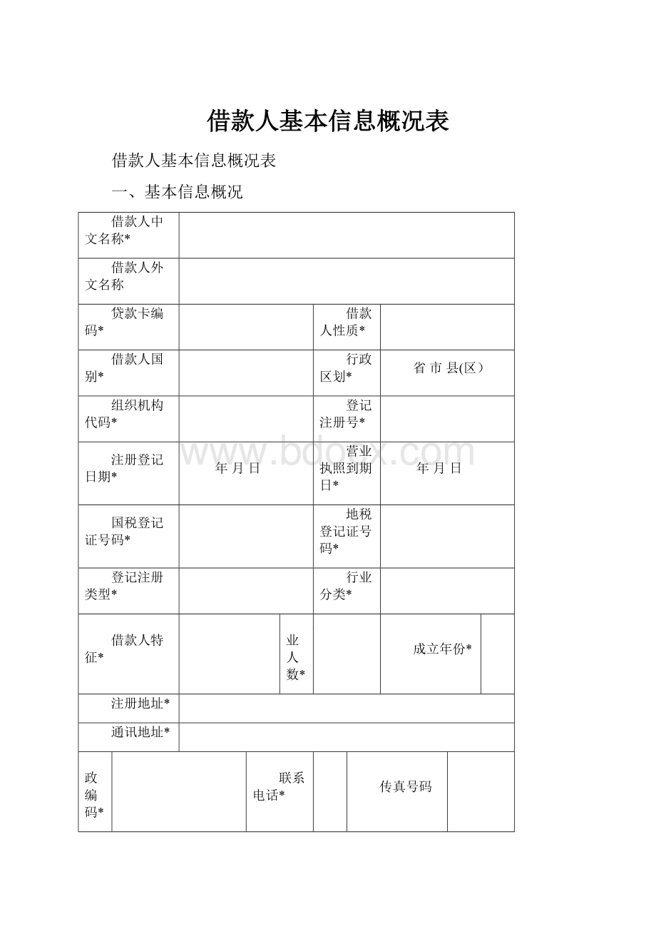 借款人基本信息概况表.docx_第1页