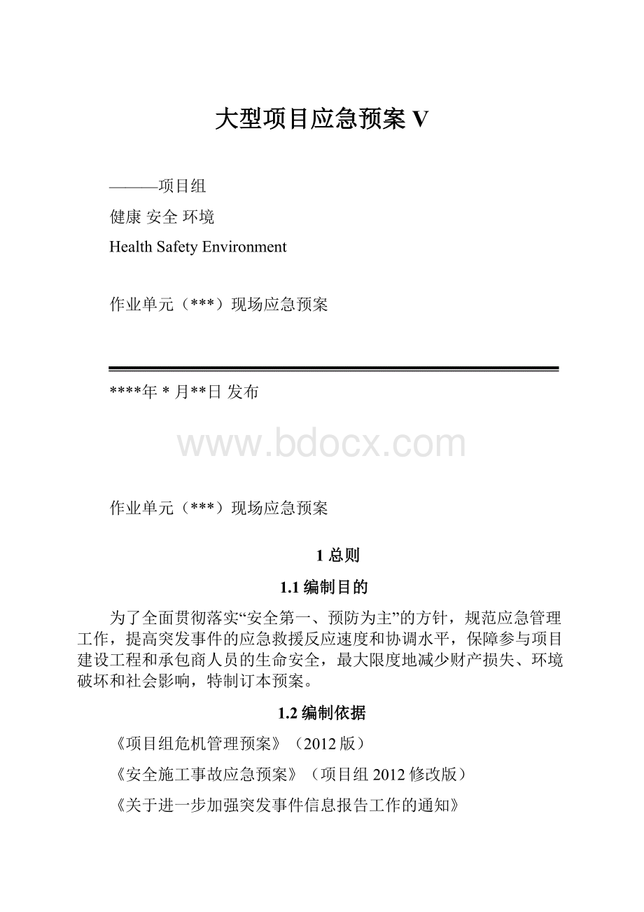 大型项目应急预案V.docx_第1页