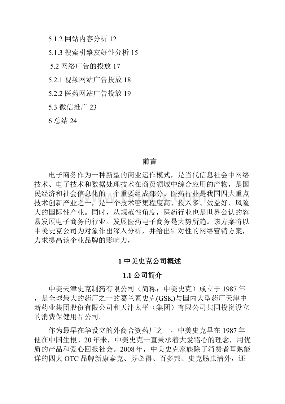 中美史克网络营销策划方案.docx_第2页