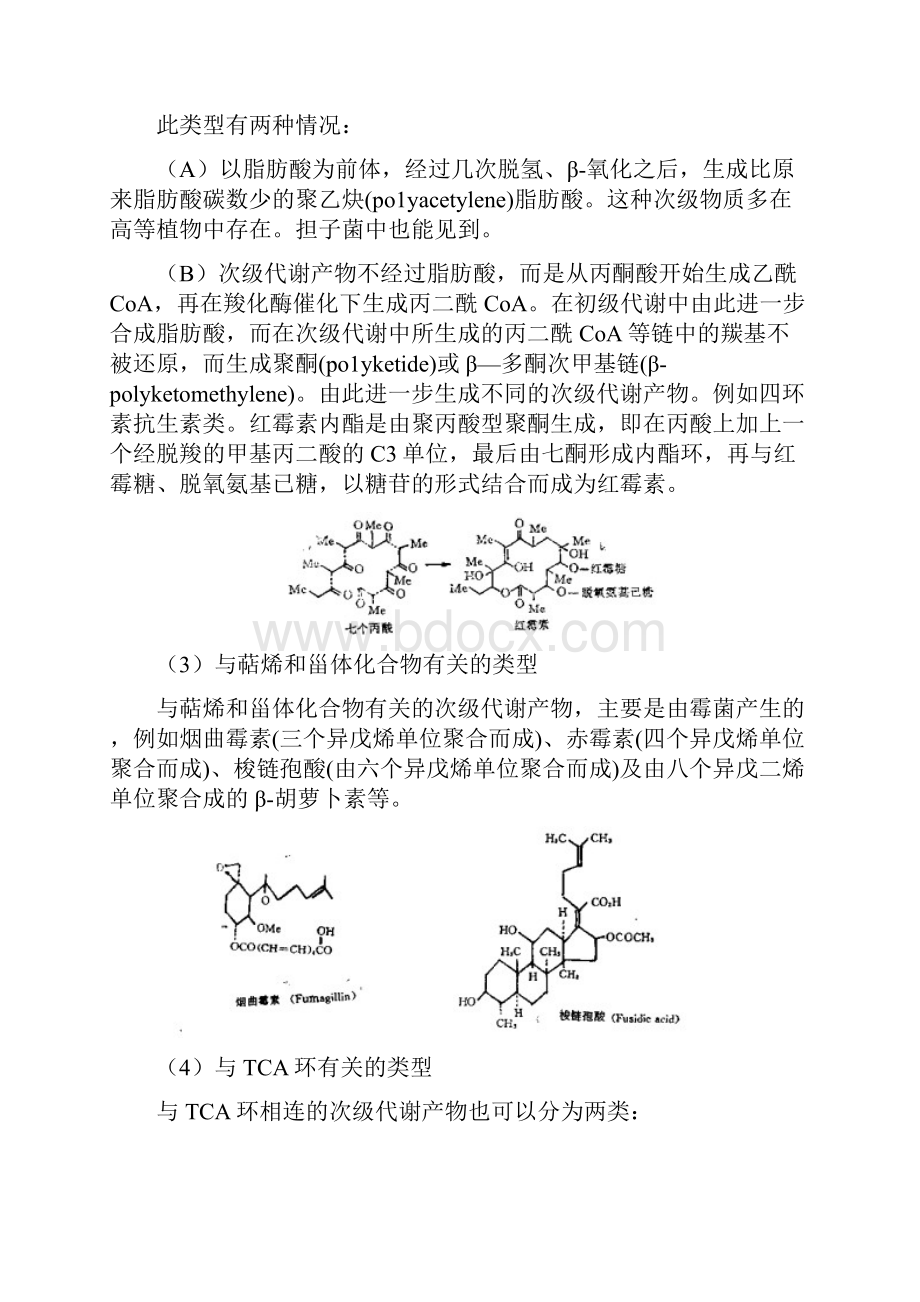 第三章发酵生物化学基础.docx_第3页