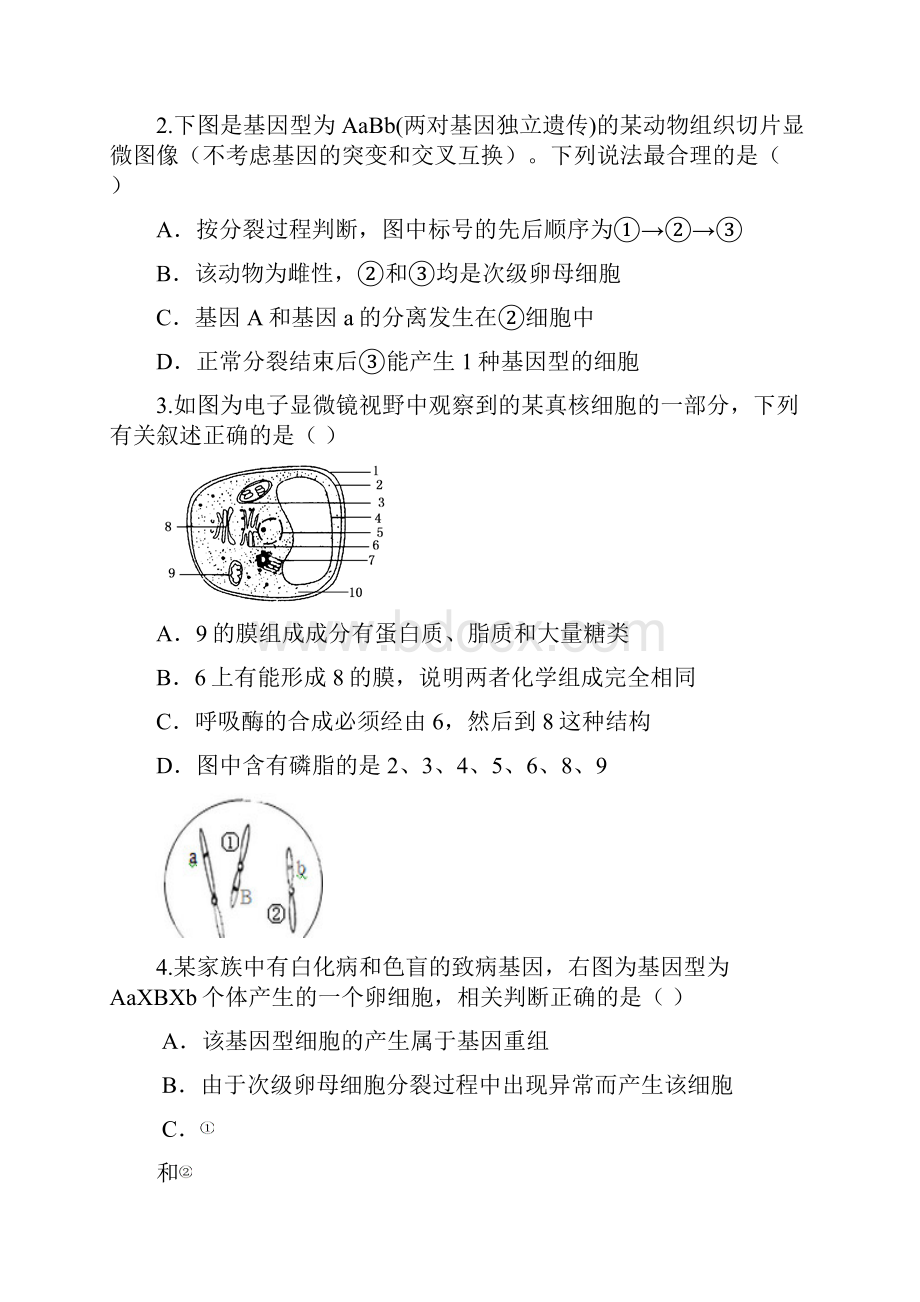 澧县一中届高三年级理科综合考练试题四.docx_第2页