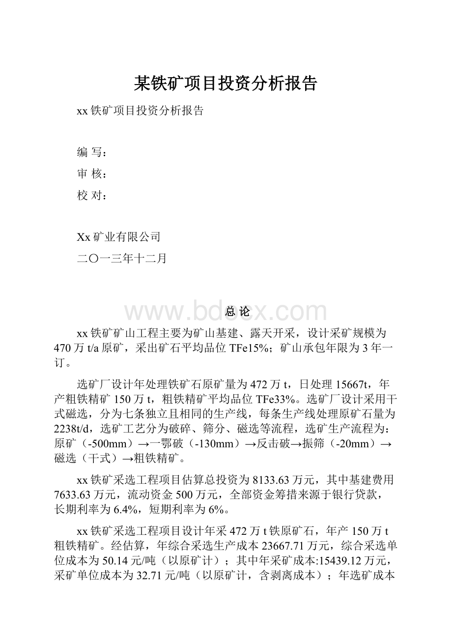 某铁矿项目投资分析报告文档格式.docx_第1页