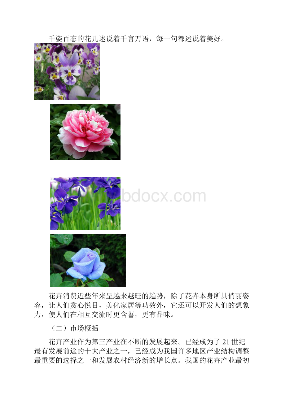 小型花卉植物租售DIY现代创意农业项目商业计划书.docx_第2页