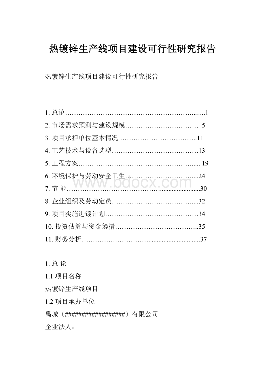 热镀锌生产线项目建设可行性研究报告Word格式.docx_第1页