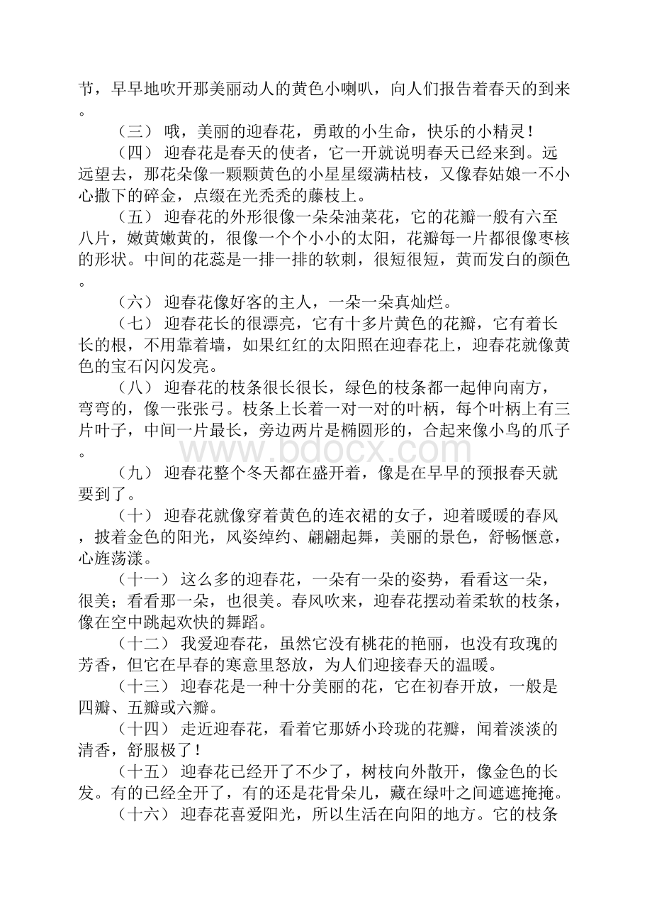 关于迎春花开了的祝福语 迎春花怎么开放的句子.docx_第2页