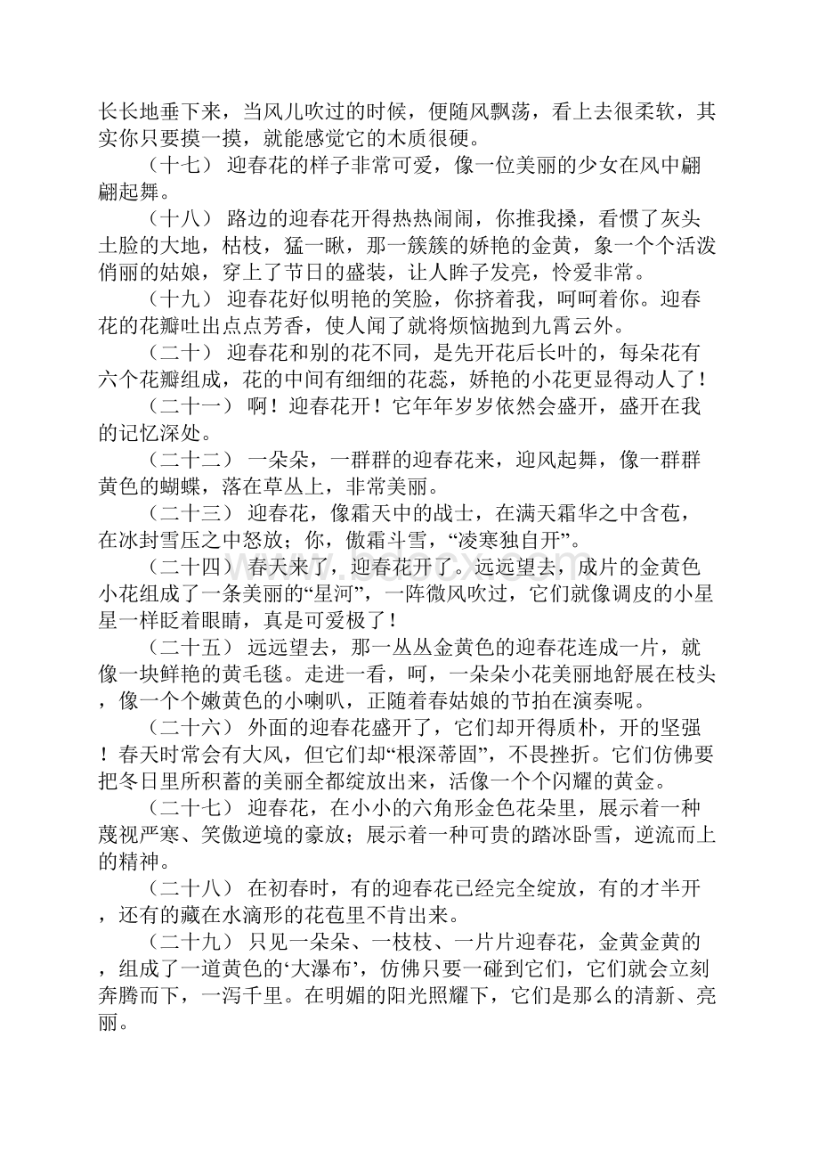 关于迎春花开了的祝福语 迎春花怎么开放的句子.docx_第3页