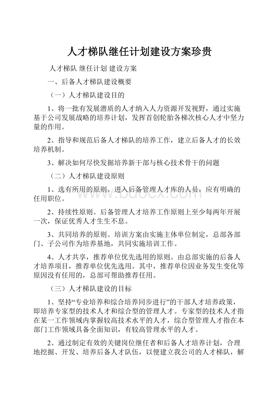 人才梯队继任计划建设方案珍贵.docx