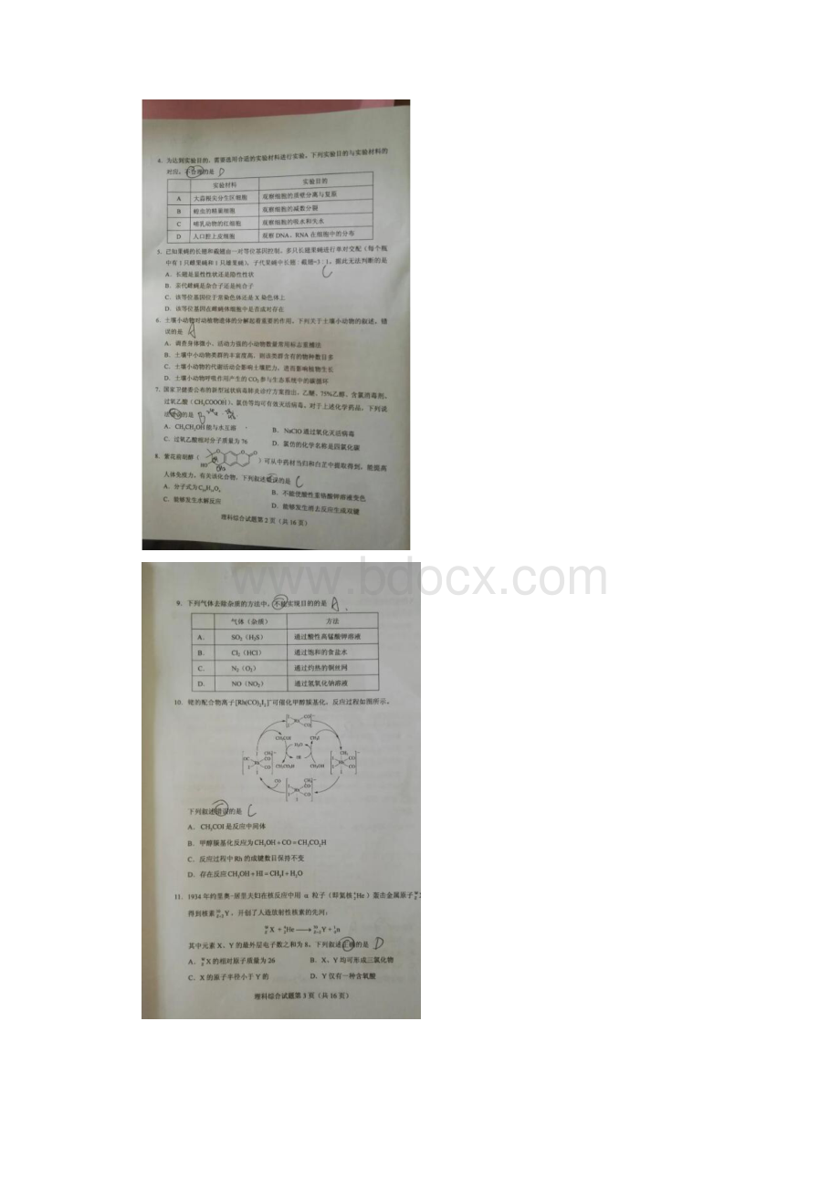 全国I卷理科综合能力测试真题及答案Word下载.docx_第2页