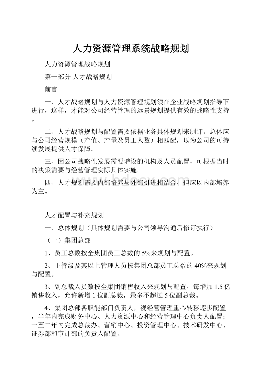 人力资源管理系统战略规划.docx