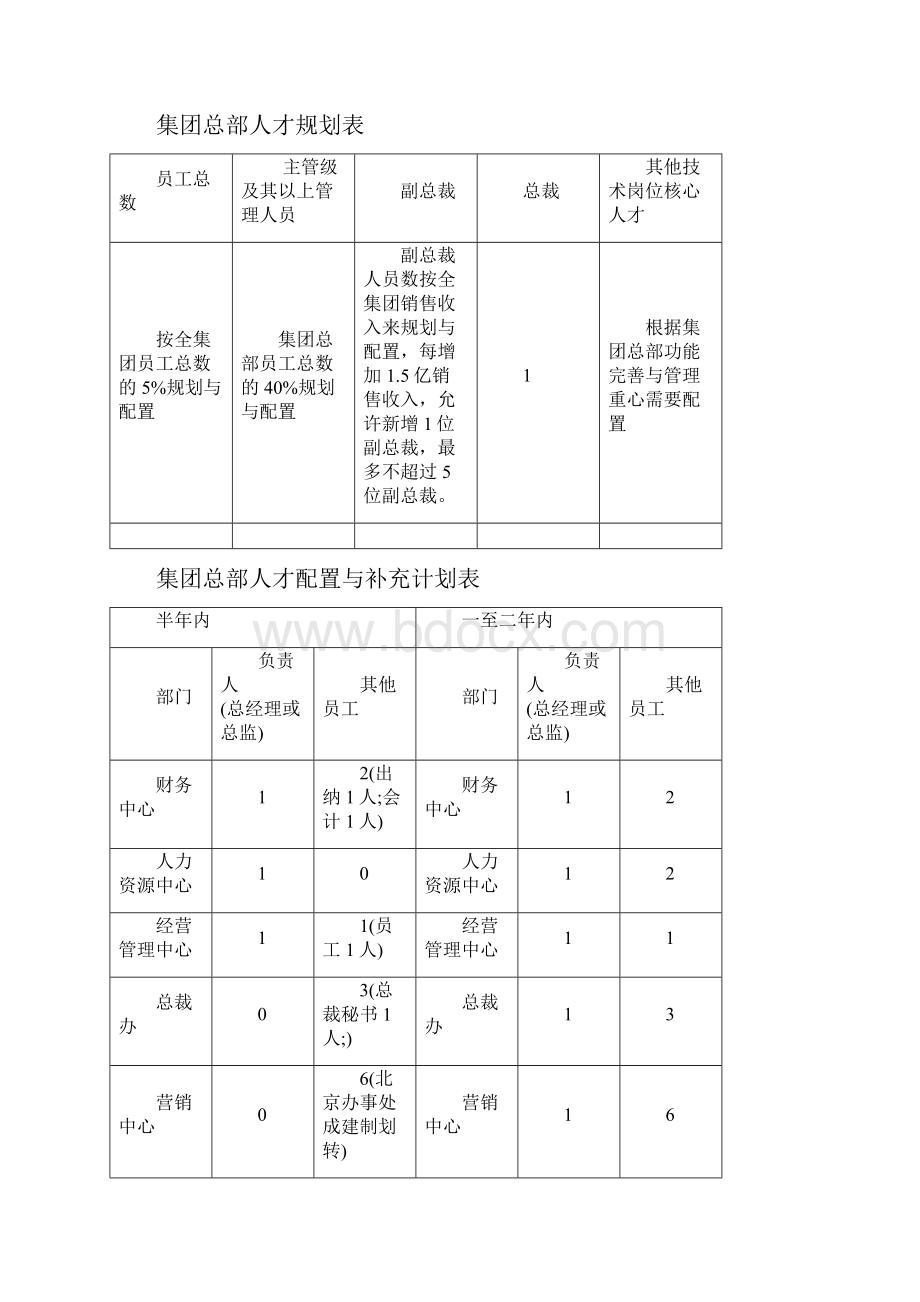 人力资源管理系统战略规划.docx_第2页