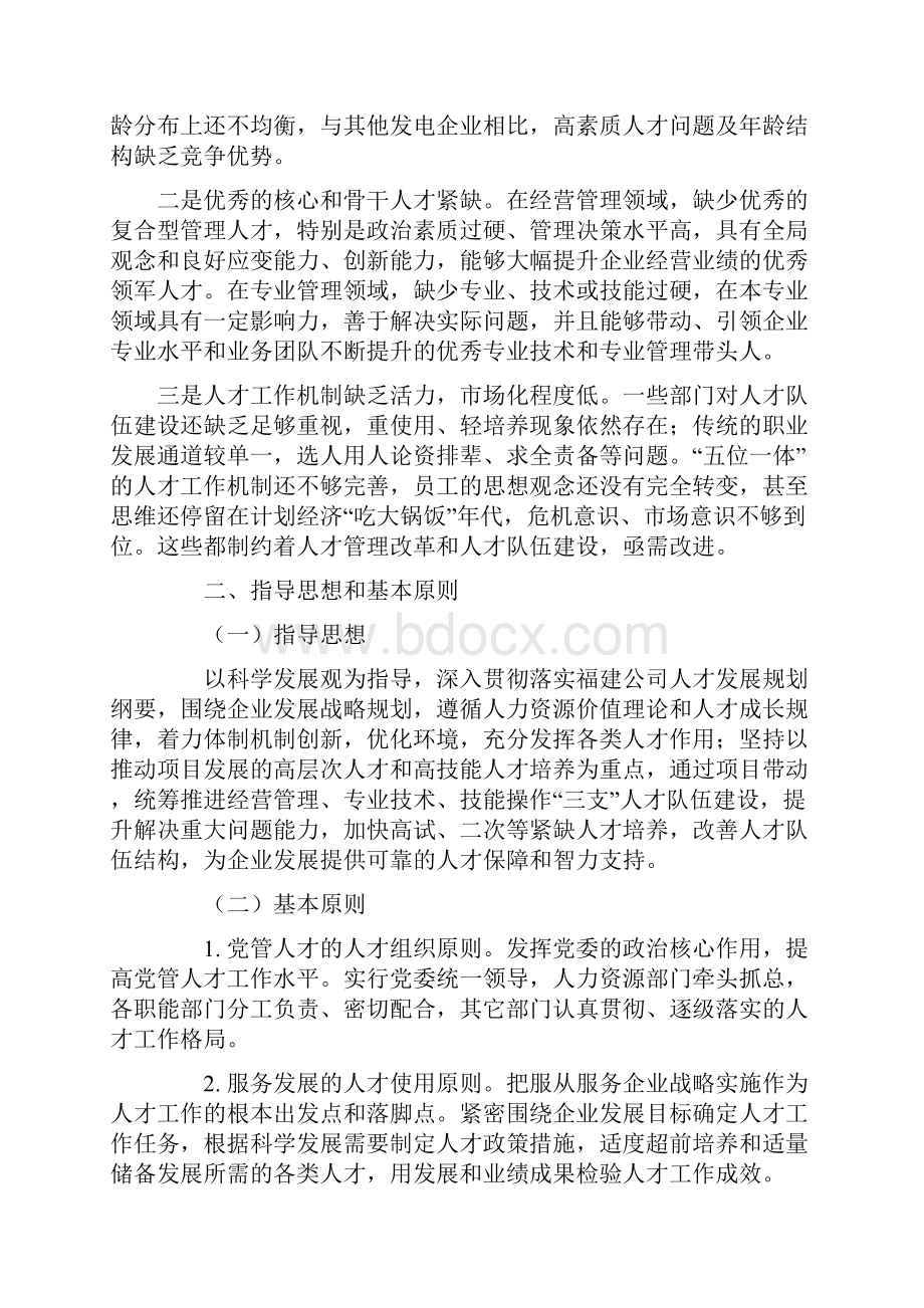 人才队伍建设规划.docx_第3页