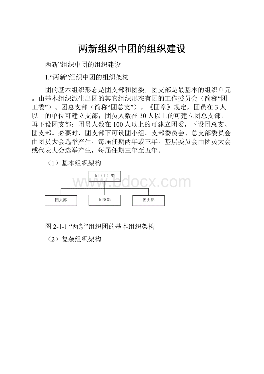 两新组织中团的组织建设Word下载.docx