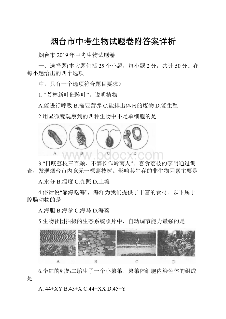 烟台市中考生物试题卷附答案详析.docx_第1页