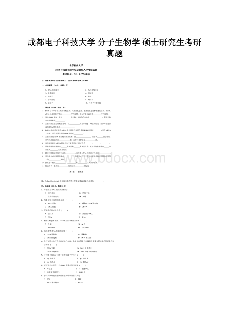 成都电子科技大学 分子生物学 硕士研究生考研真题Word文档格式.docx