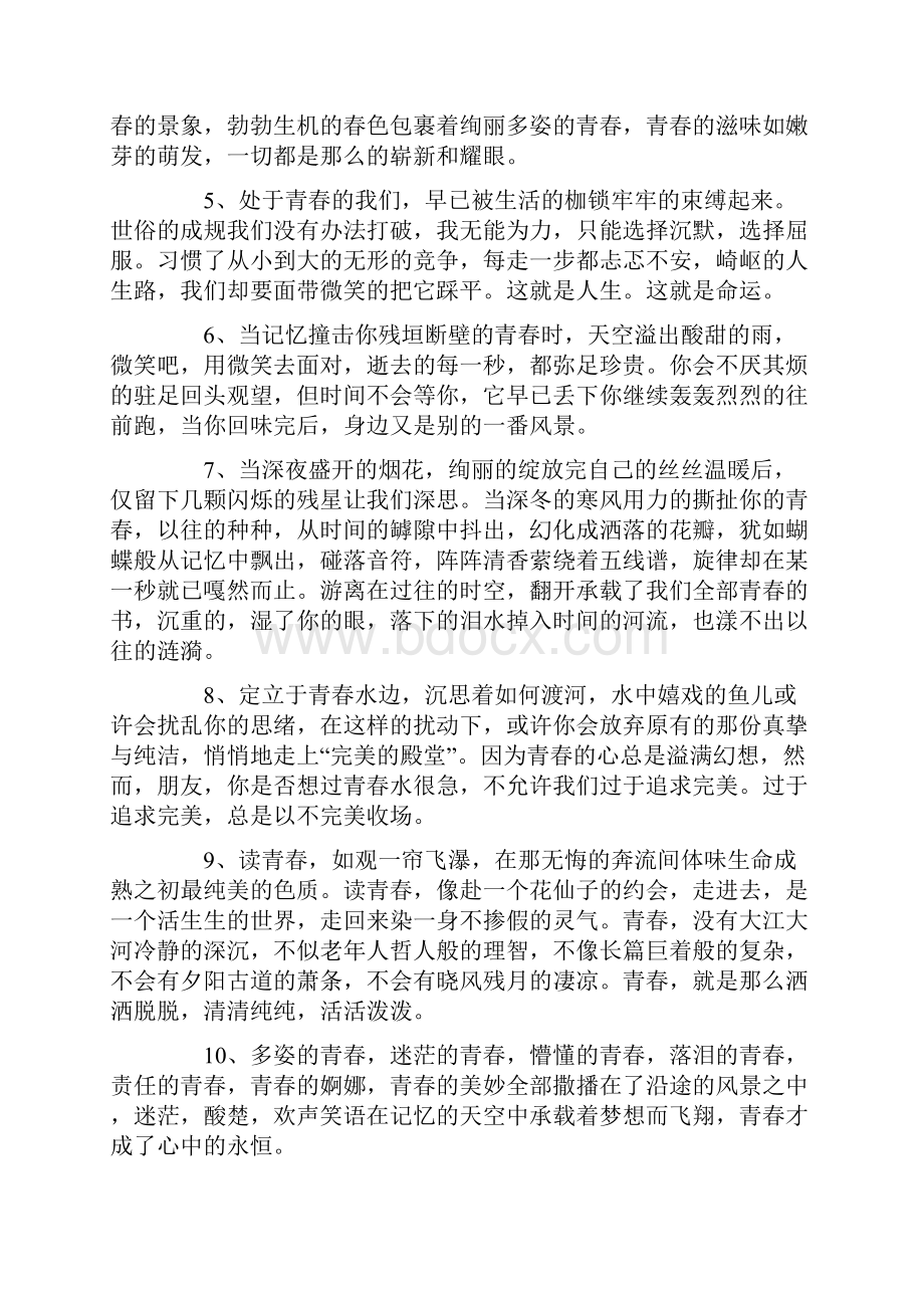 关于青春的好词好句Word文件下载.docx_第2页