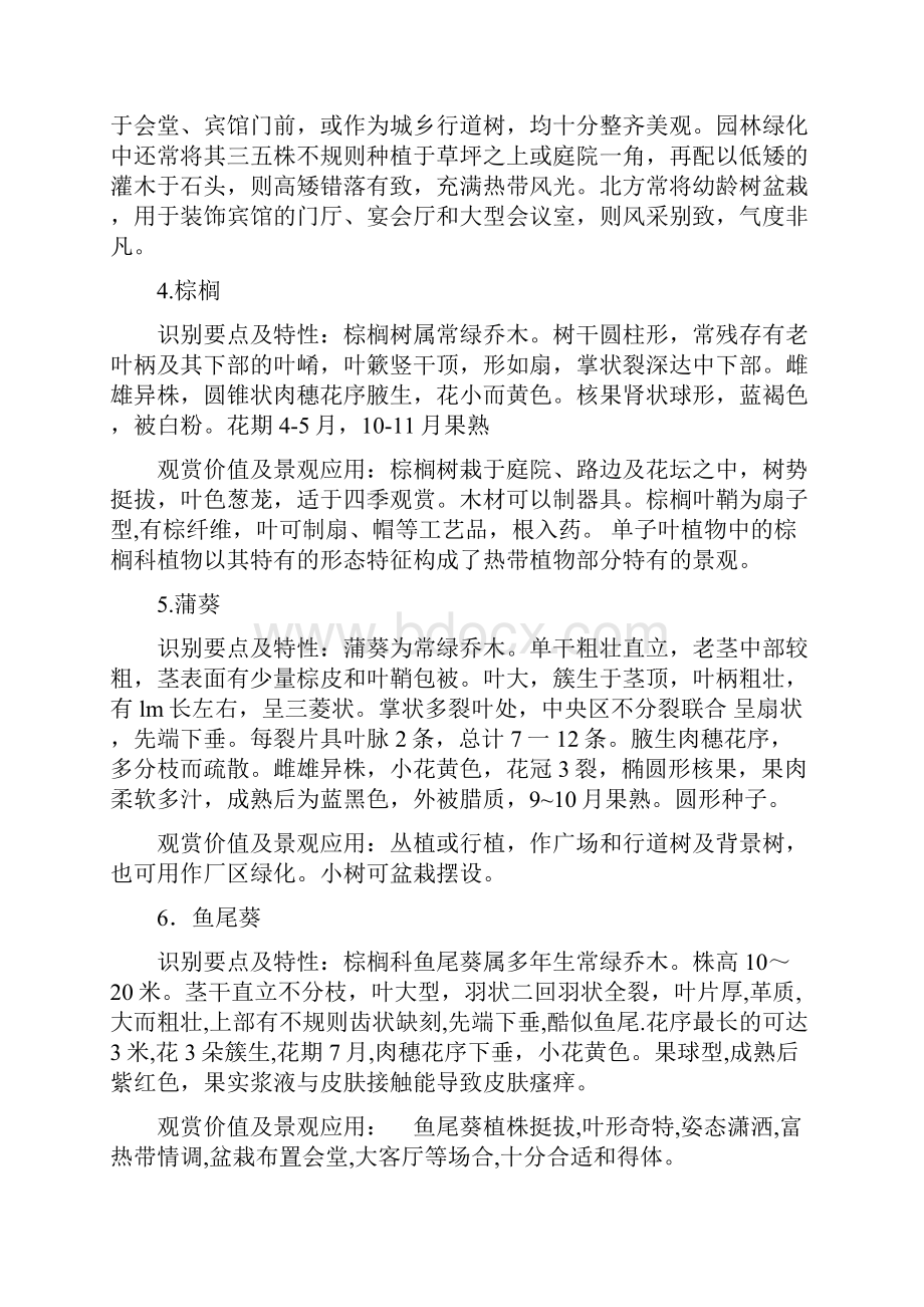 广州实习植物作业.docx_第2页