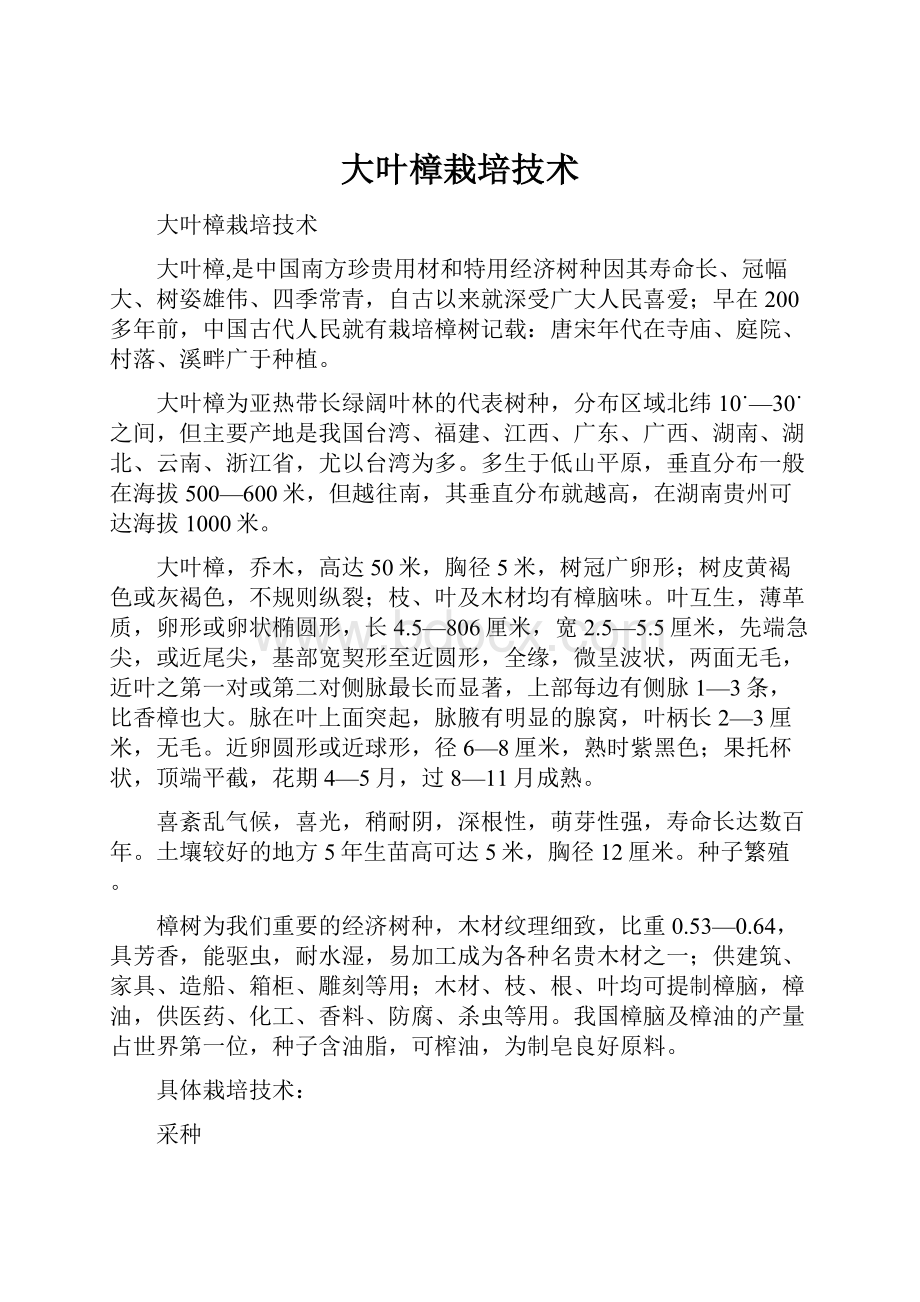 大叶樟栽培技术Word格式文档下载.docx_第1页