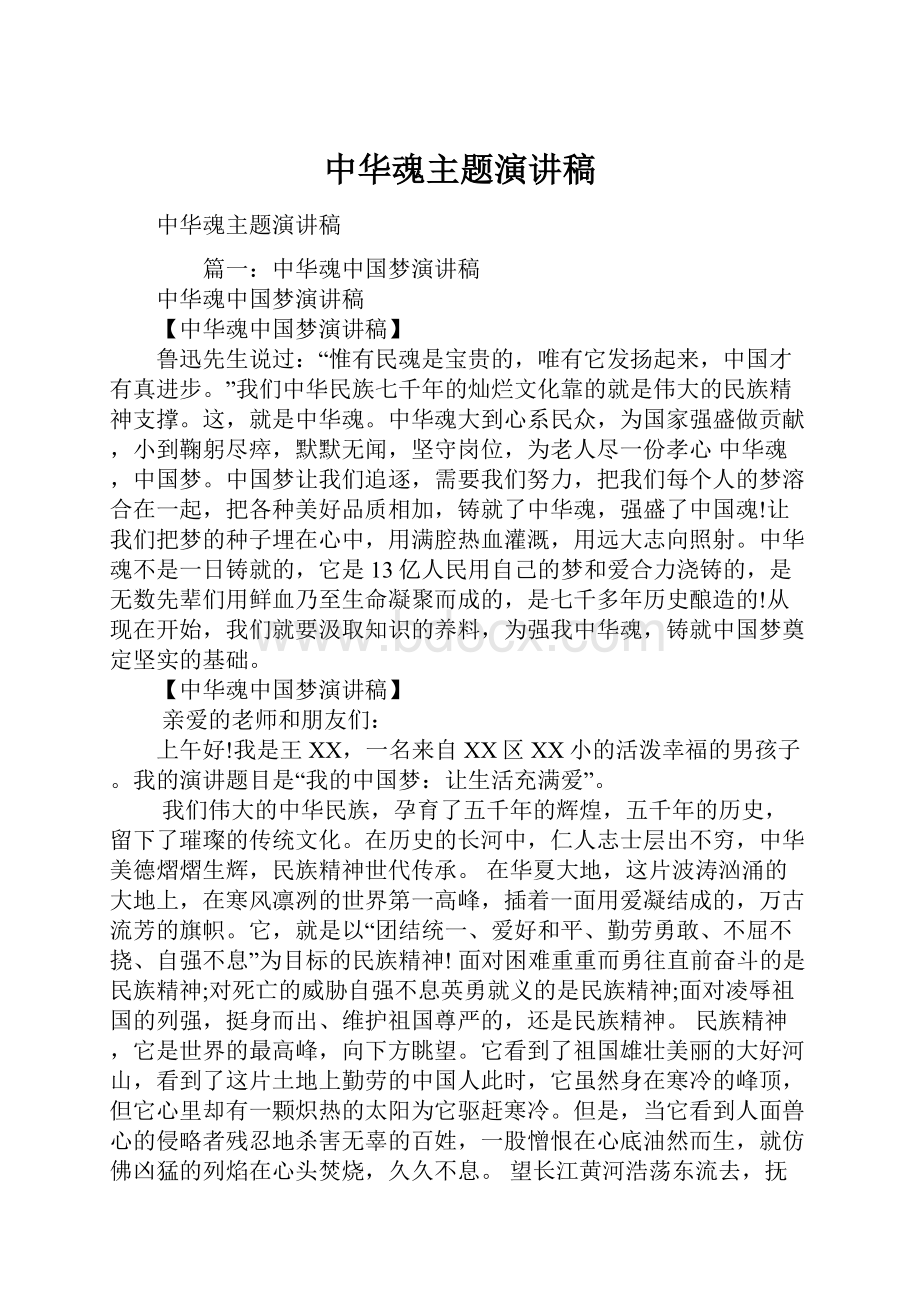 中华魂主题演讲稿.docx_第1页