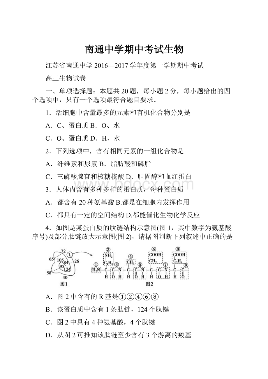 南通中学期中考试生物Word文档格式.docx_第1页