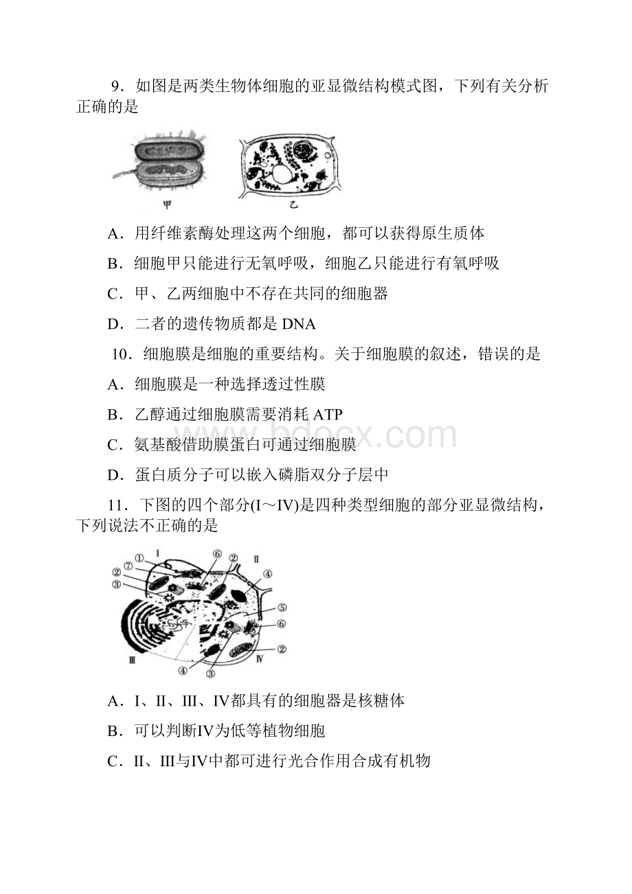 南通中学期中考试生物Word文档格式.docx_第3页