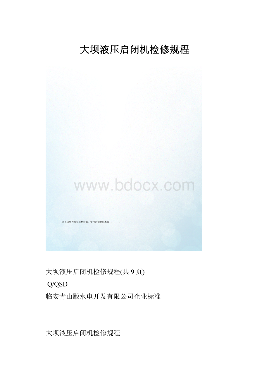 大坝液压启闭机检修规程.docx_第1页