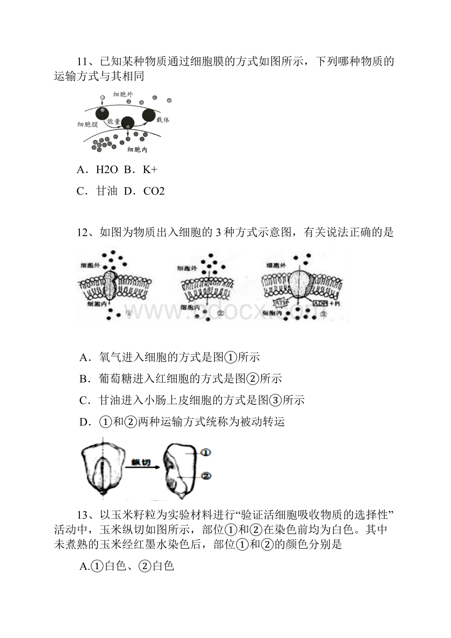 浙江省宁波市高一生物上学期期中试题Word格式文档下载.docx_第3页