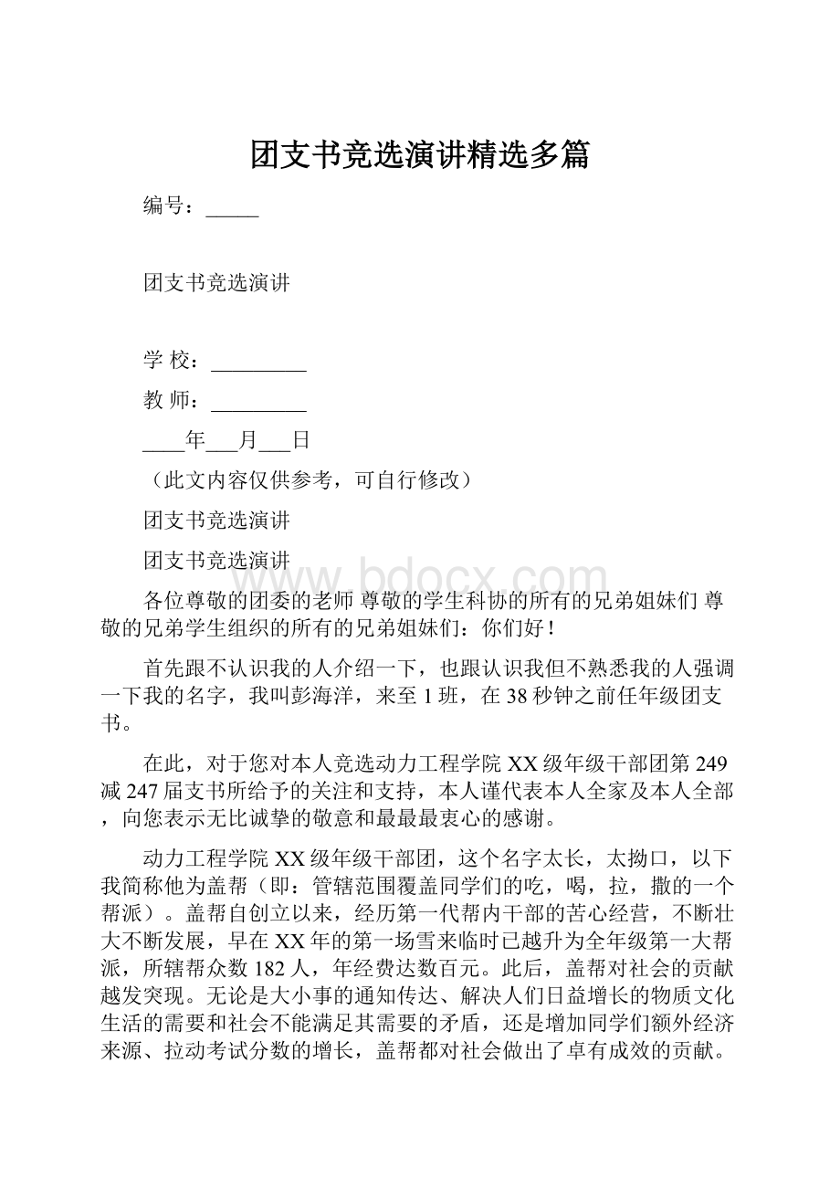 团支书竞选演讲精选多篇文档格式.docx