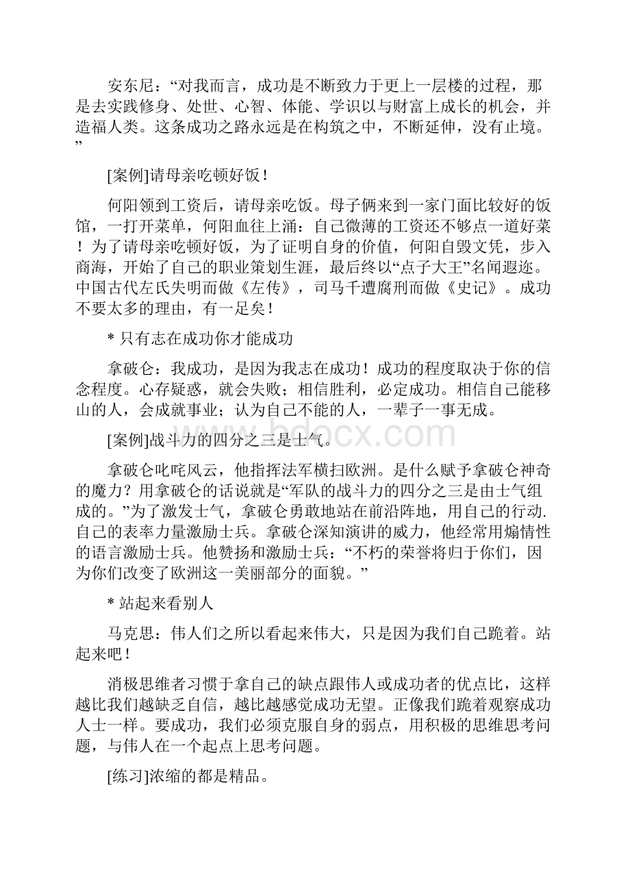 企业成功案例分析报告Word格式.docx_第3页