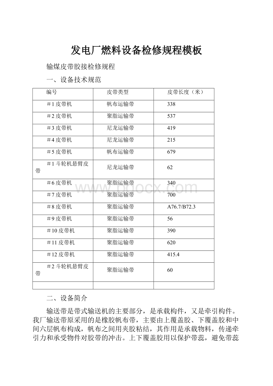 发电厂燃料设备检修规程模板.docx_第1页