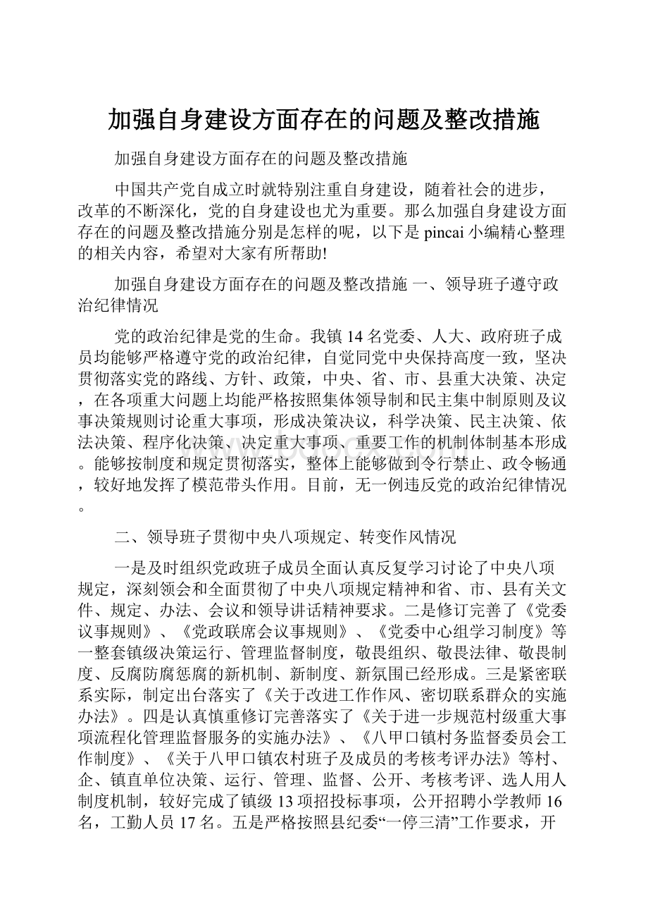 加强自身建设方面存在的问题及整改措施Word格式文档下载.docx