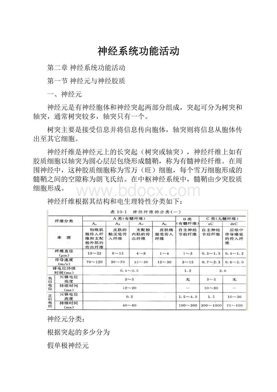 神经系统功能活动.docx