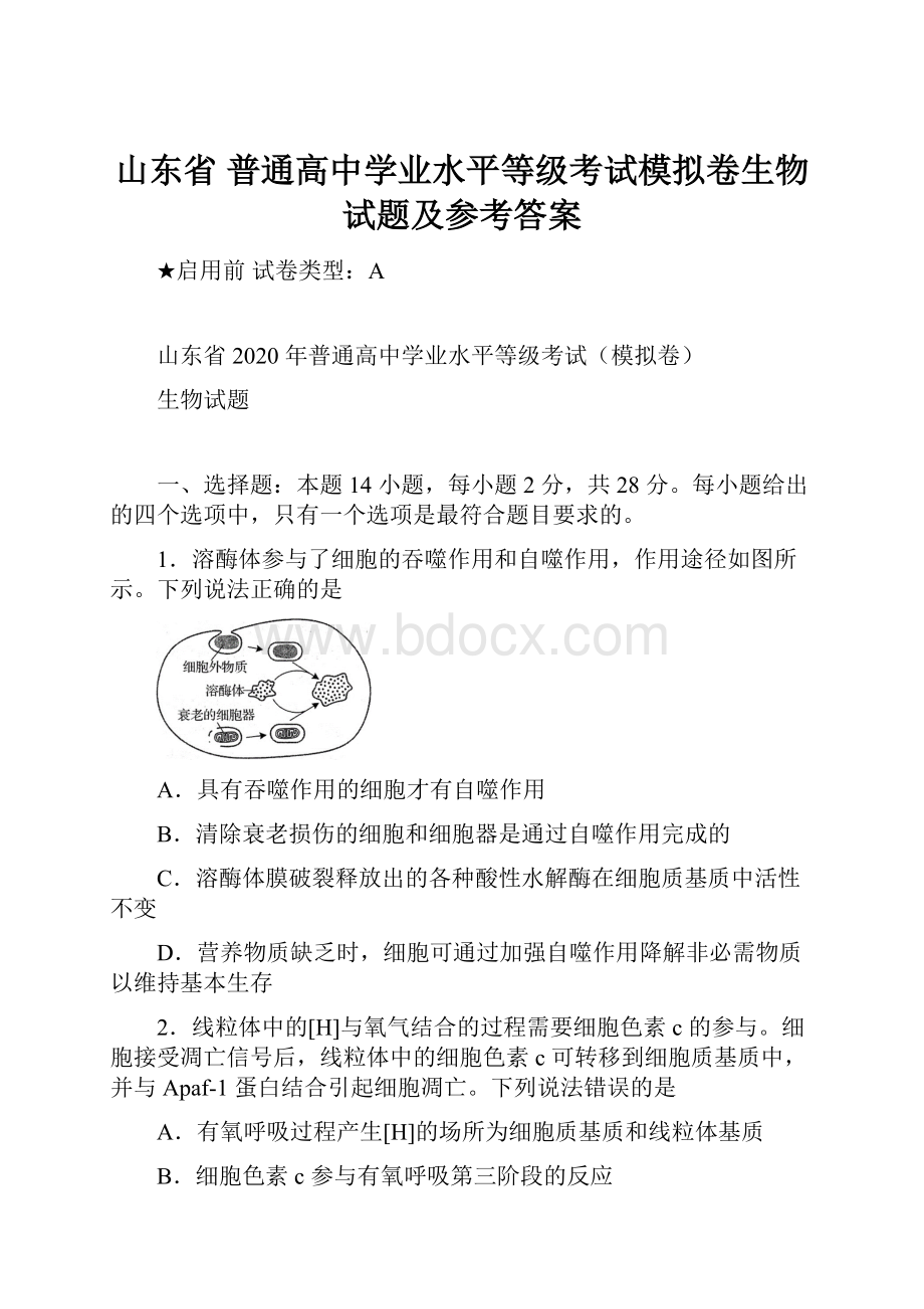 山东省 普通高中学业水平等级考试模拟卷生物试题及参考答案.docx