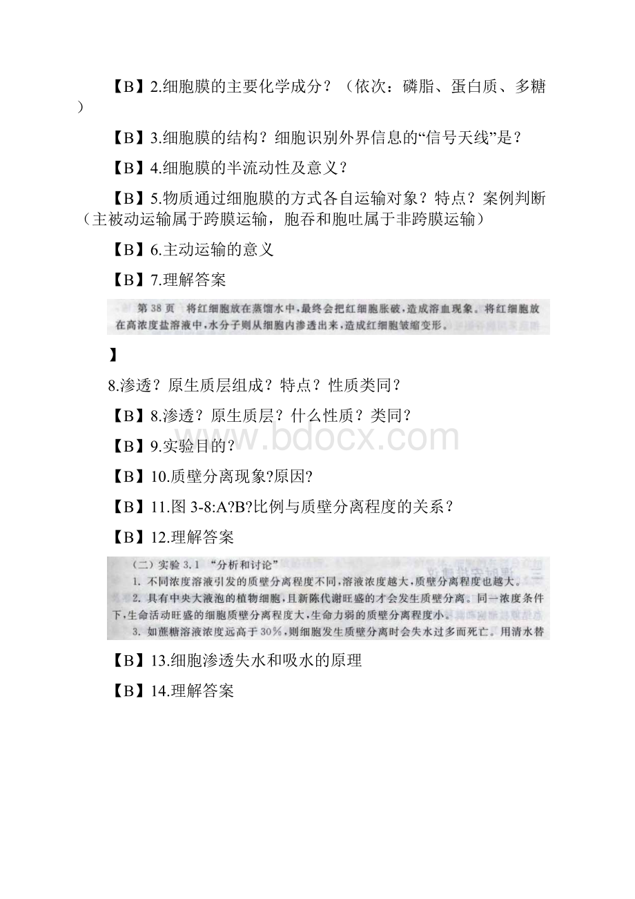 要背的问题161214Word文件下载.docx_第3页