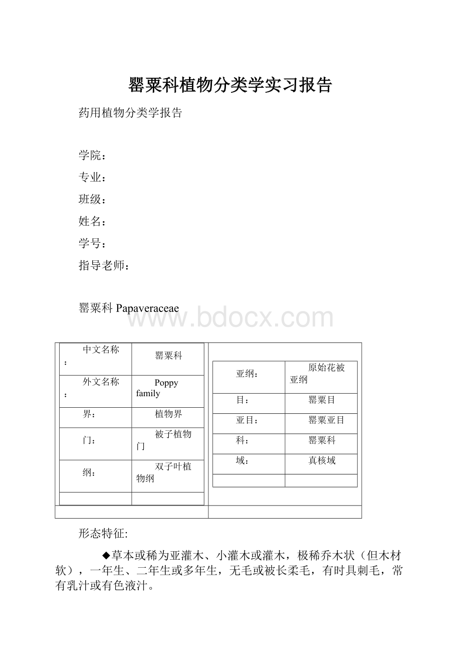 罂粟科植物分类学实习报告.docx