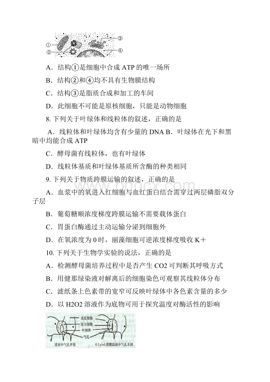 湖南省浏阳醴陵攸县三校届高三生物联考试题.docx_第3页