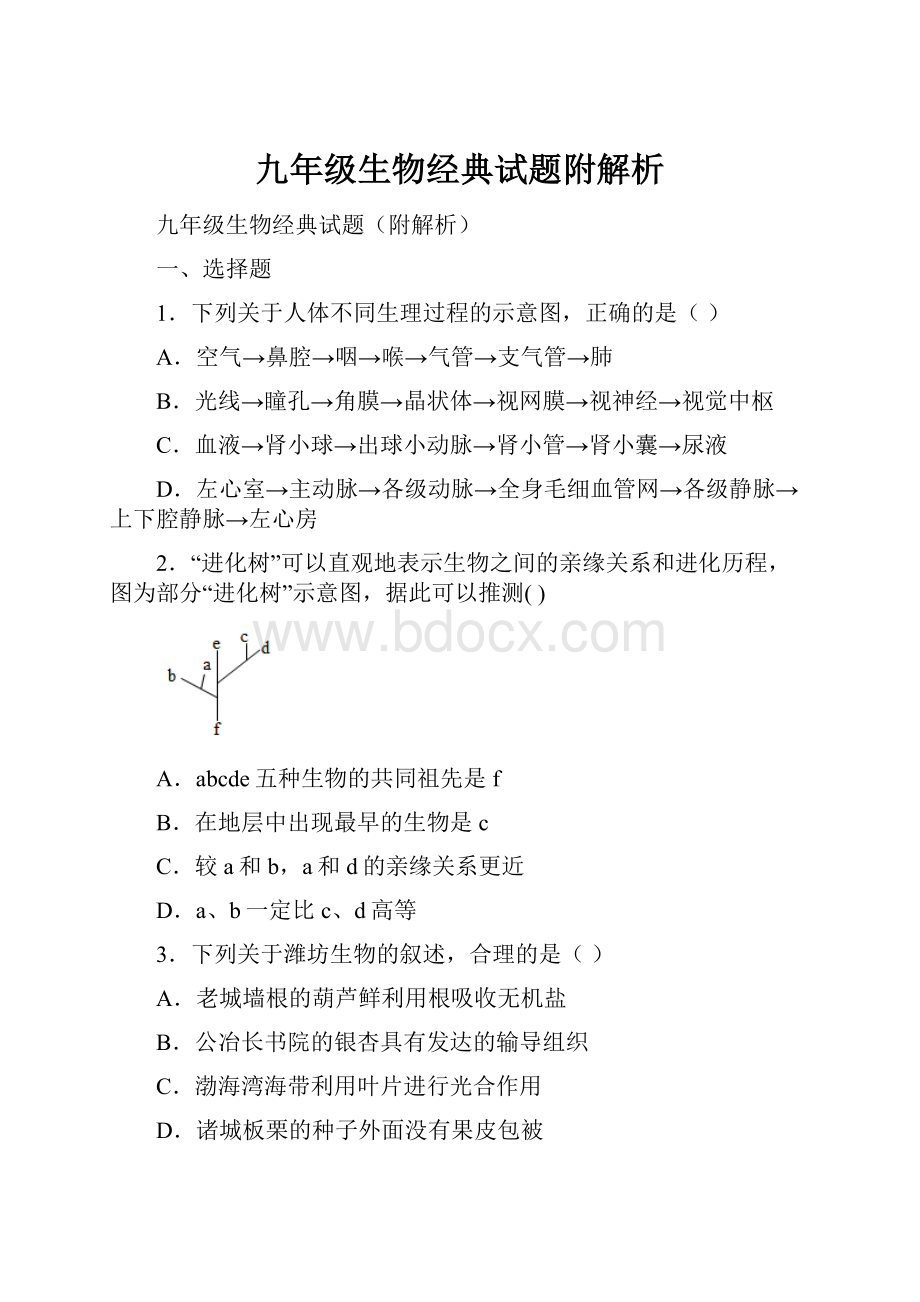 九年级生物经典试题附解析Word文档格式.docx