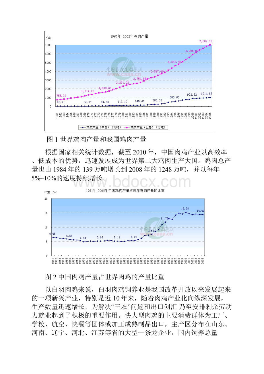中国肉鸡行业行业分析文档格式.docx_第2页