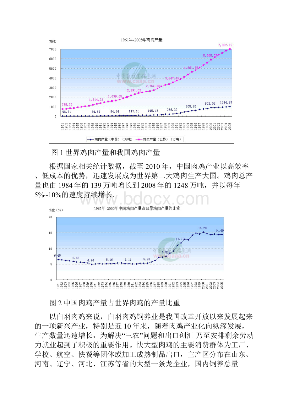 中国肉鸡行业行业分析.docx_第2页