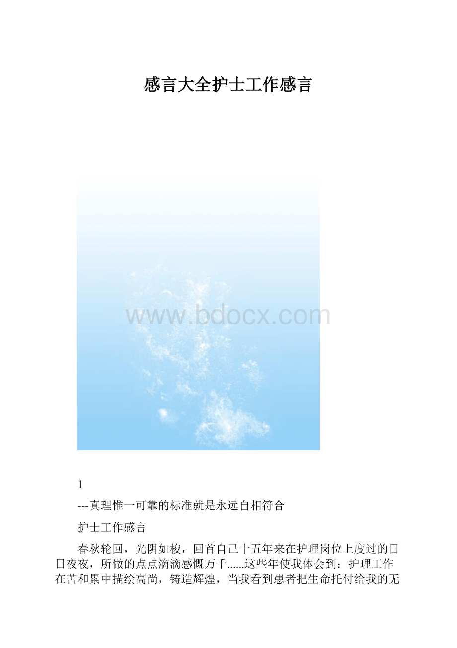 感言大全护士工作感言.docx