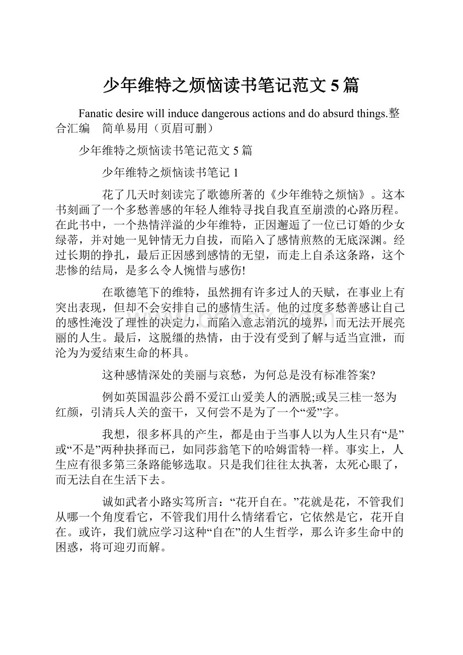 少年维特之烦恼读书笔记范文5篇Word文档下载推荐.docx